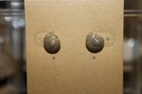 Pūpū Studs | ʻEkahi [1]