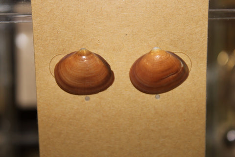 Pūpū Studs | ʻElima [5]