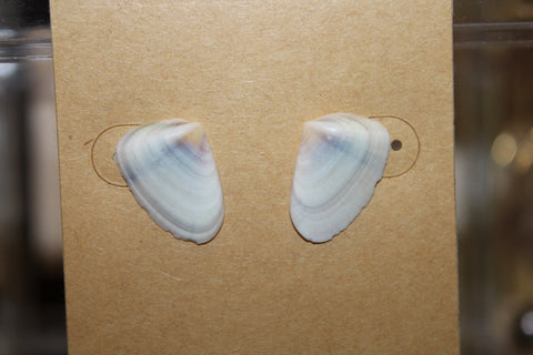 Pūpū Studs | ʻElua [2]