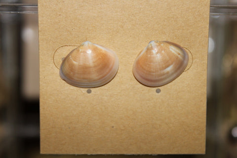 Pūpū Studs | ʻEhiku [7]