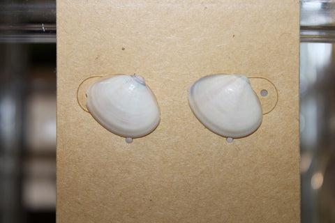 Pūpū Studs | ʻEhā [4]