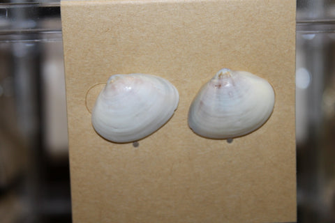 Pūpū Studs | ʻEono [6]