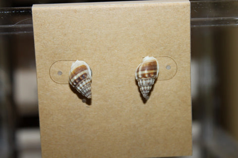 Pūpū Studs | ʻEwalu [8]